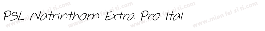 PSL Natrinthorn Extra Pro Italic字体转换
